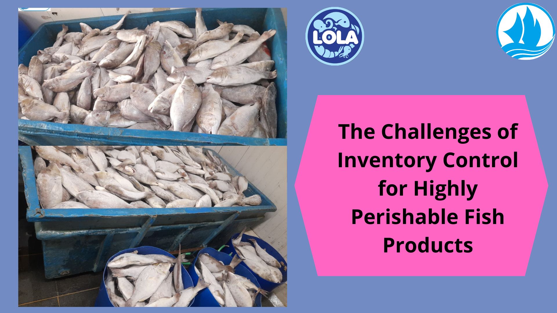 The Challenges of Inventory Control for Highly Perishable Fish Products